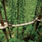 Capilano Suspension Bridge