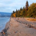 Stanley Park