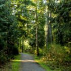 Stanley Park