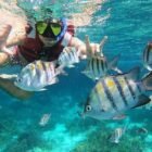 Isla Mujeres