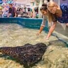 Ripley’s Aquarium