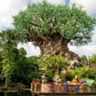 Walt Disney World