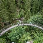 Capilano Suspension Bridge