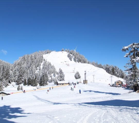Grouse Mountain