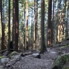Grouse Mountain