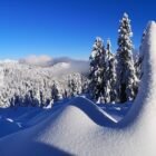 Grouse Mountain