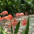 Xcaret Park