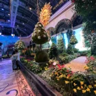 Bellagio Conservatory & Botanical Gardens