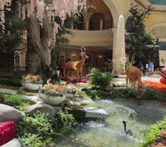 Bellagio Conservatory & Botanical Gardens
