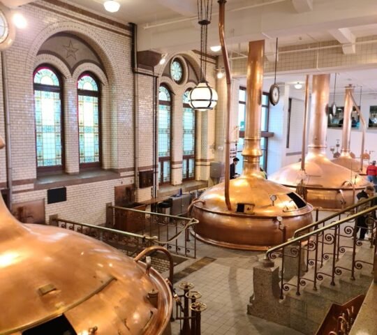 Heineken Experience
