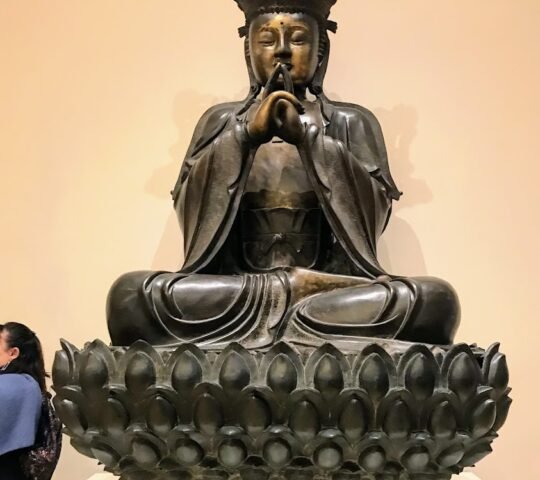 Royal Ontario Museum (ROM)